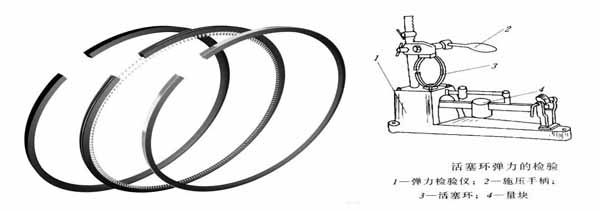 Piston head & Ring(图10)